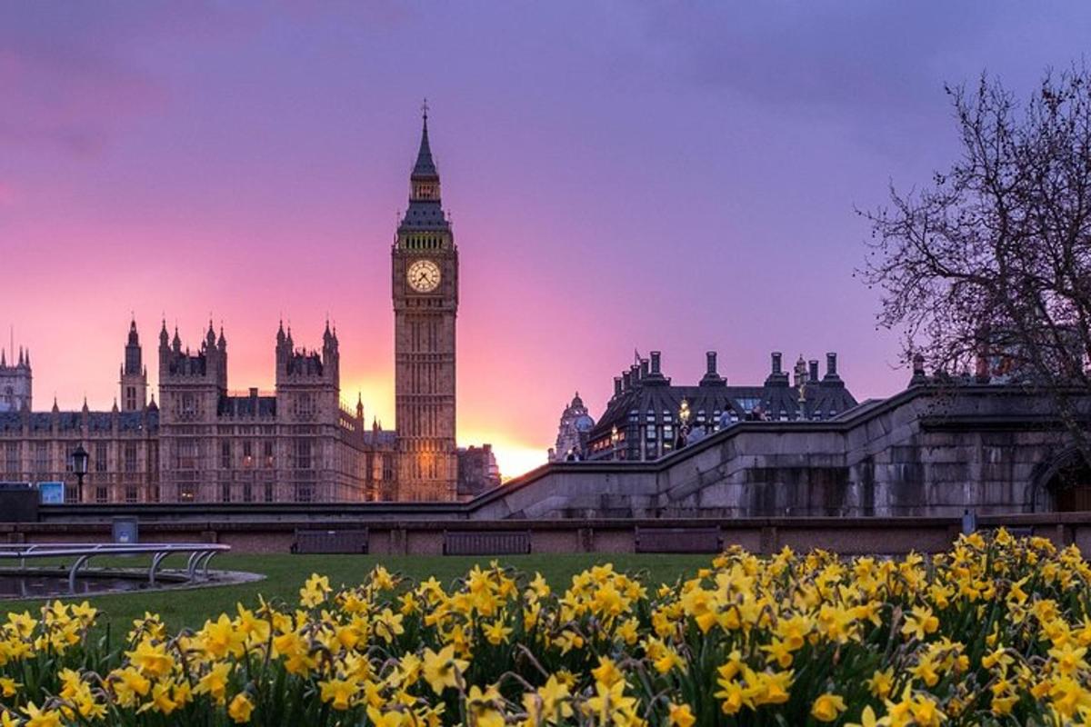 una vista del Big Ben e delle case del Parlamento con fiori gialli