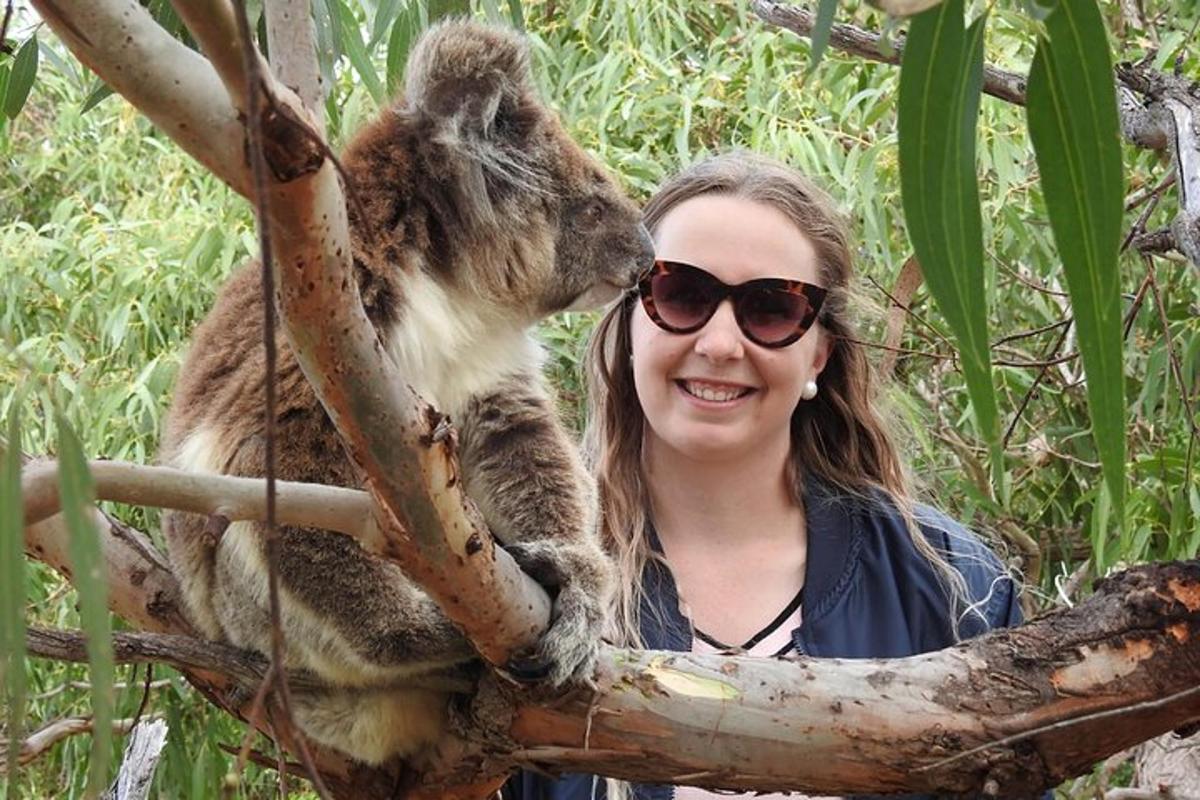 Una mujer sosteniendo un koala en un árbol.