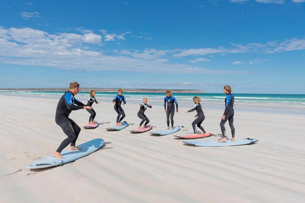 Un grupo de personas de pie sobre tablas de surf en la playa.