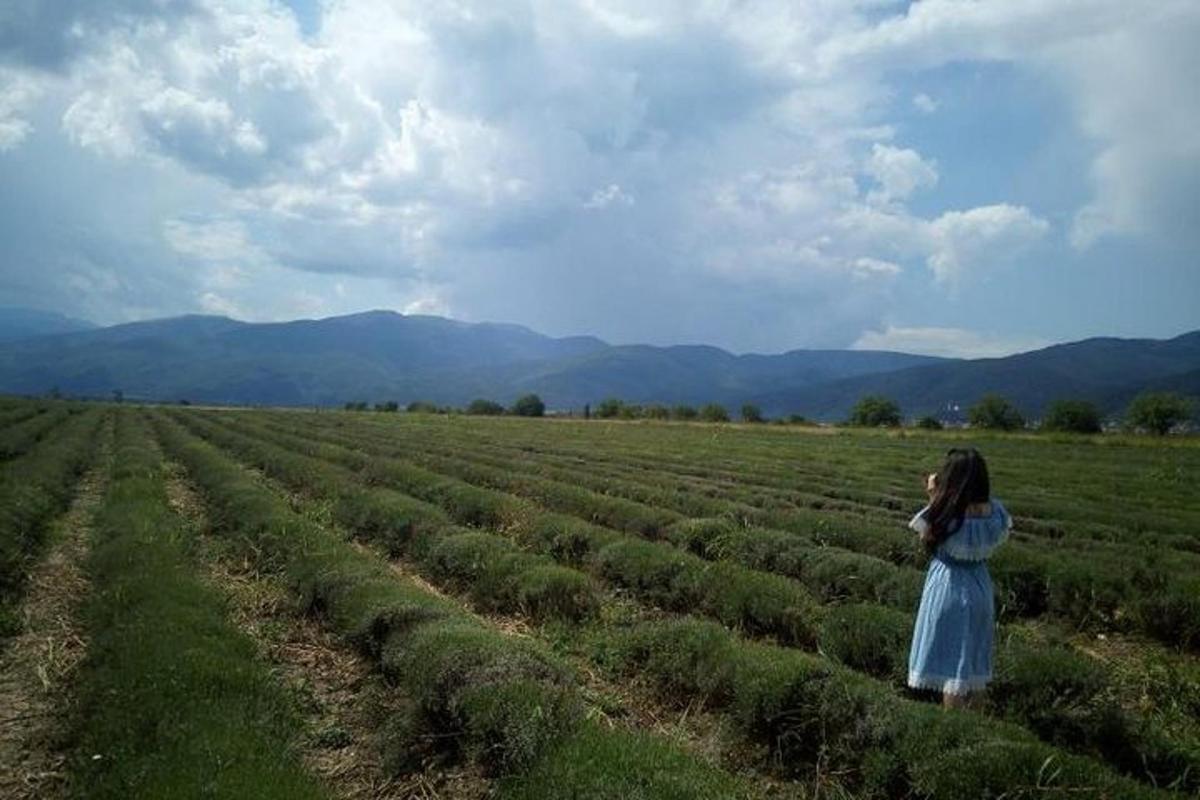 una donna in piedi in un campo di raccolti