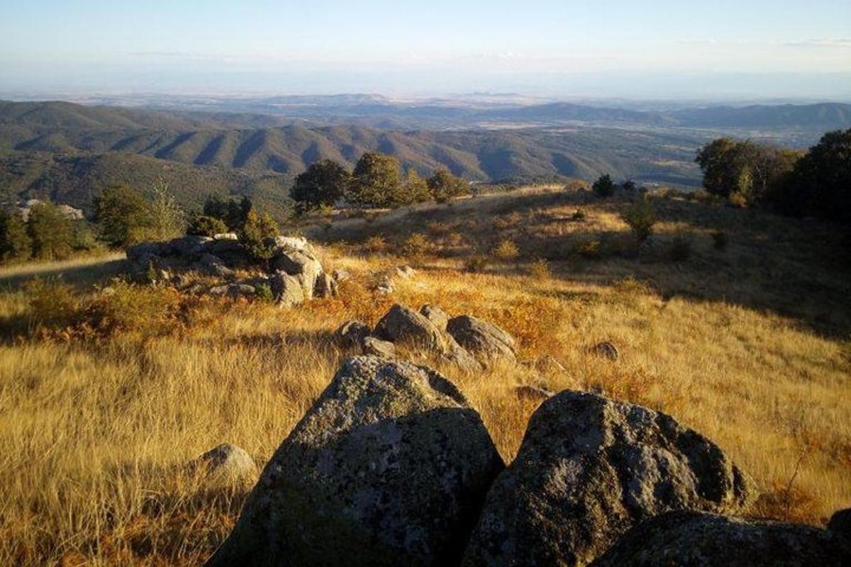 uma vista de um campo com pedras na grama