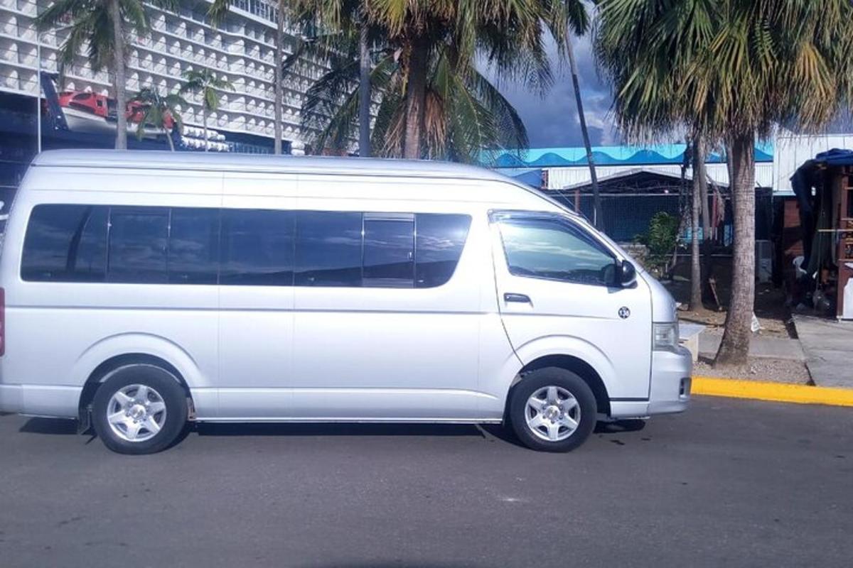 sebuah van putih diletakkan di tempat letak kereta dengan pokok palma