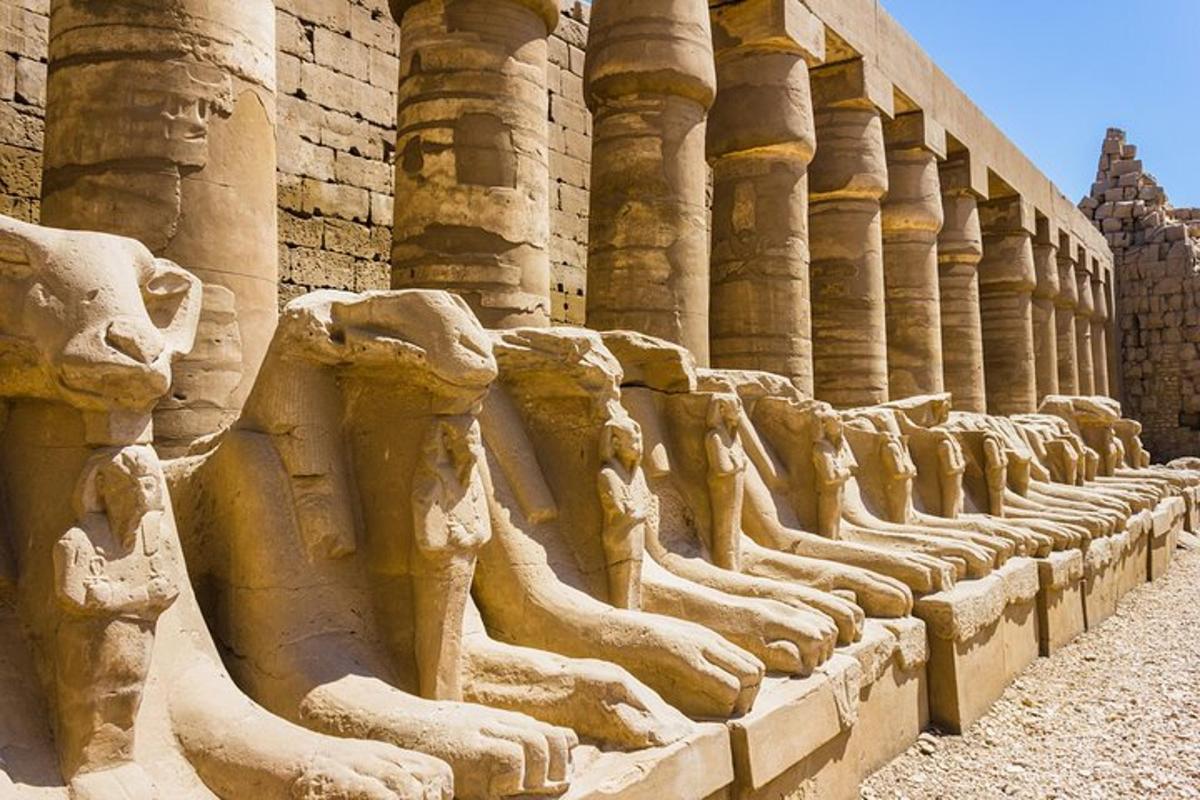 una llarga filera de columnes en un edifici
