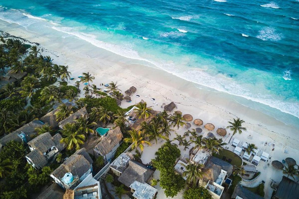 una vista dall'alto di una spiaggia con palme e l'oceano