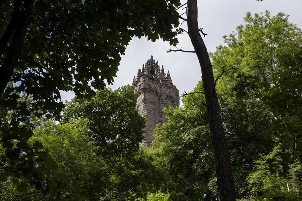 un alto edificio è visibile attraverso gli alberi