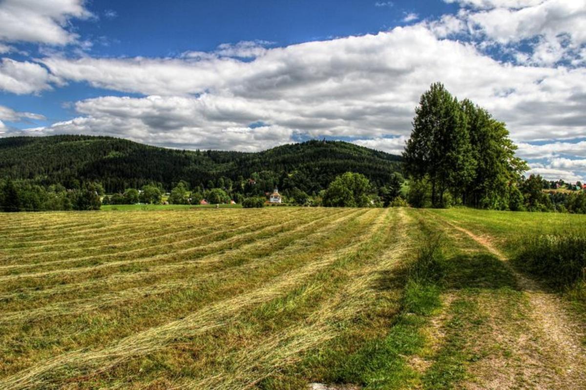 rohumaa, mille kauguses paistab maja