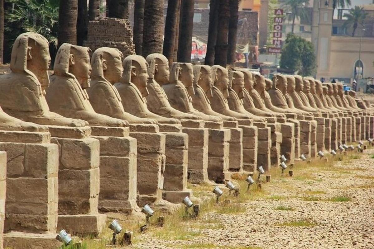 una fila di statue allineate su un muro