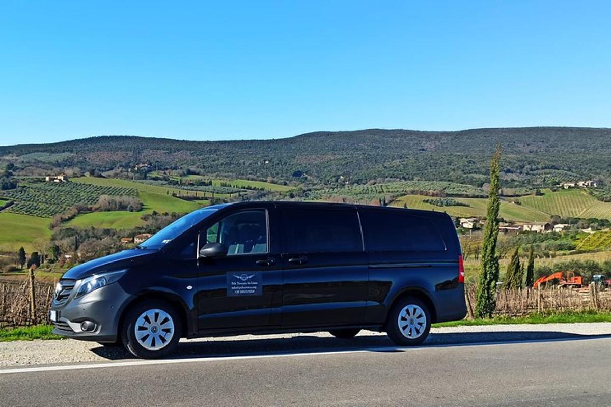 črn kombi parkiran ob cesti