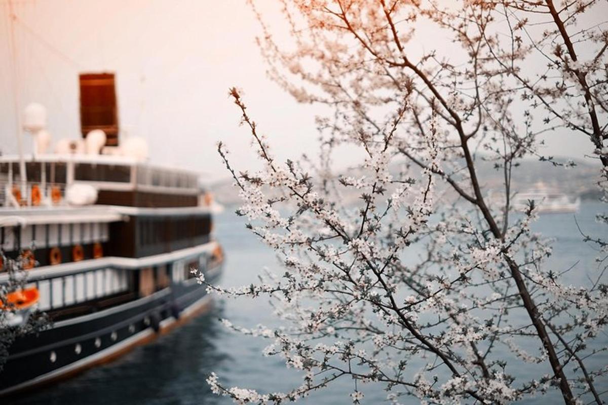 sebuah kapal persiaran di dalam air dengan pokok