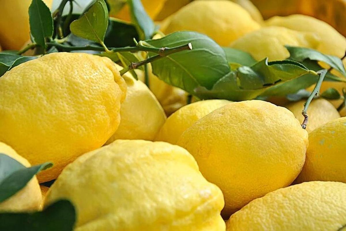Una pila de limones amarillos con hojas verdes.