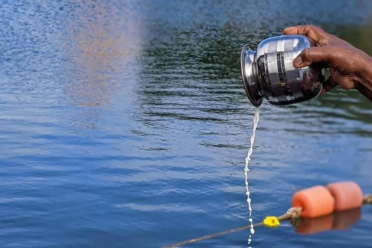 a person holding a cup in the water