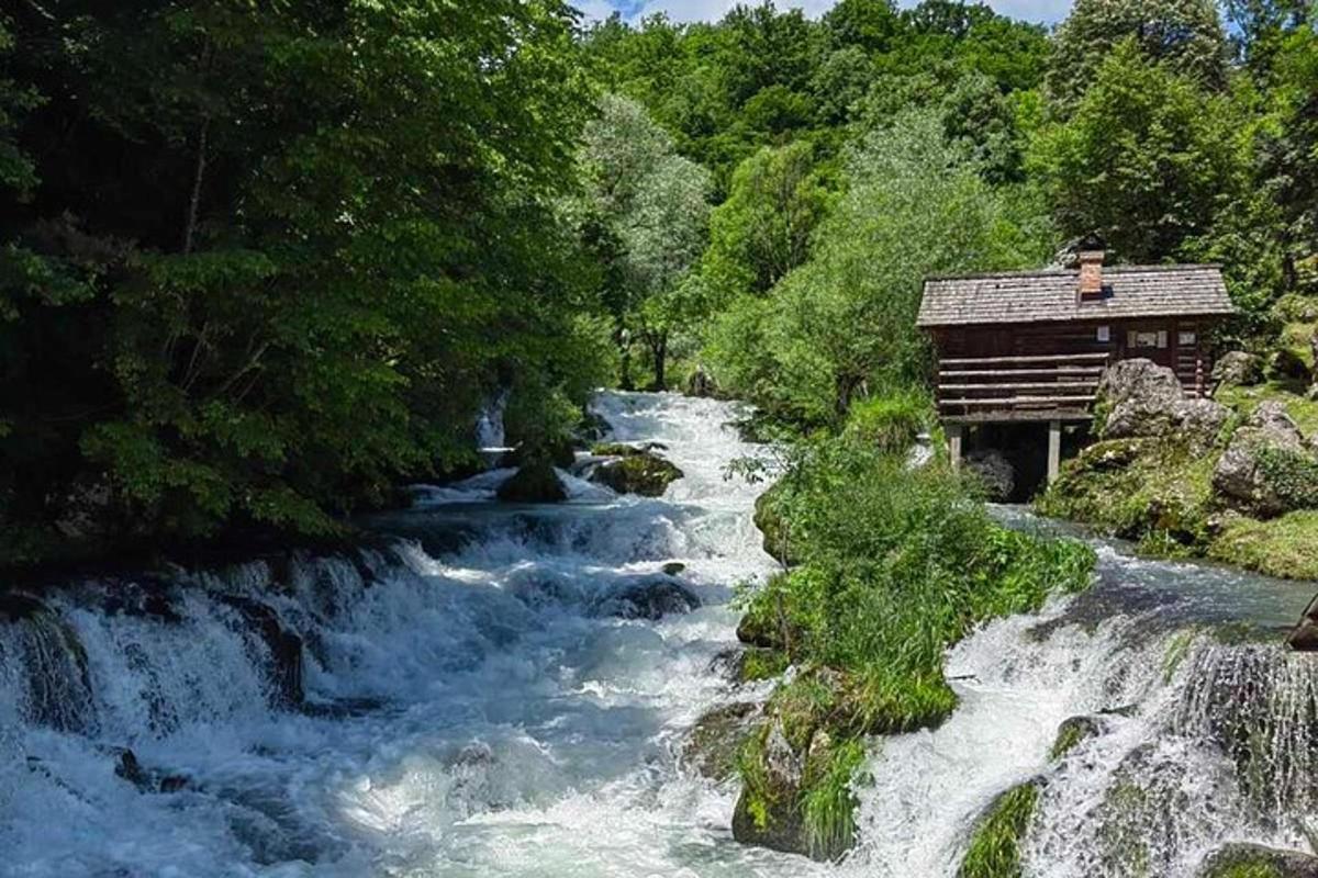 a river with a bridge next to a river with trees