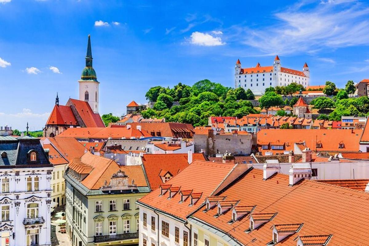pogled na mesto z rdečimi strehami