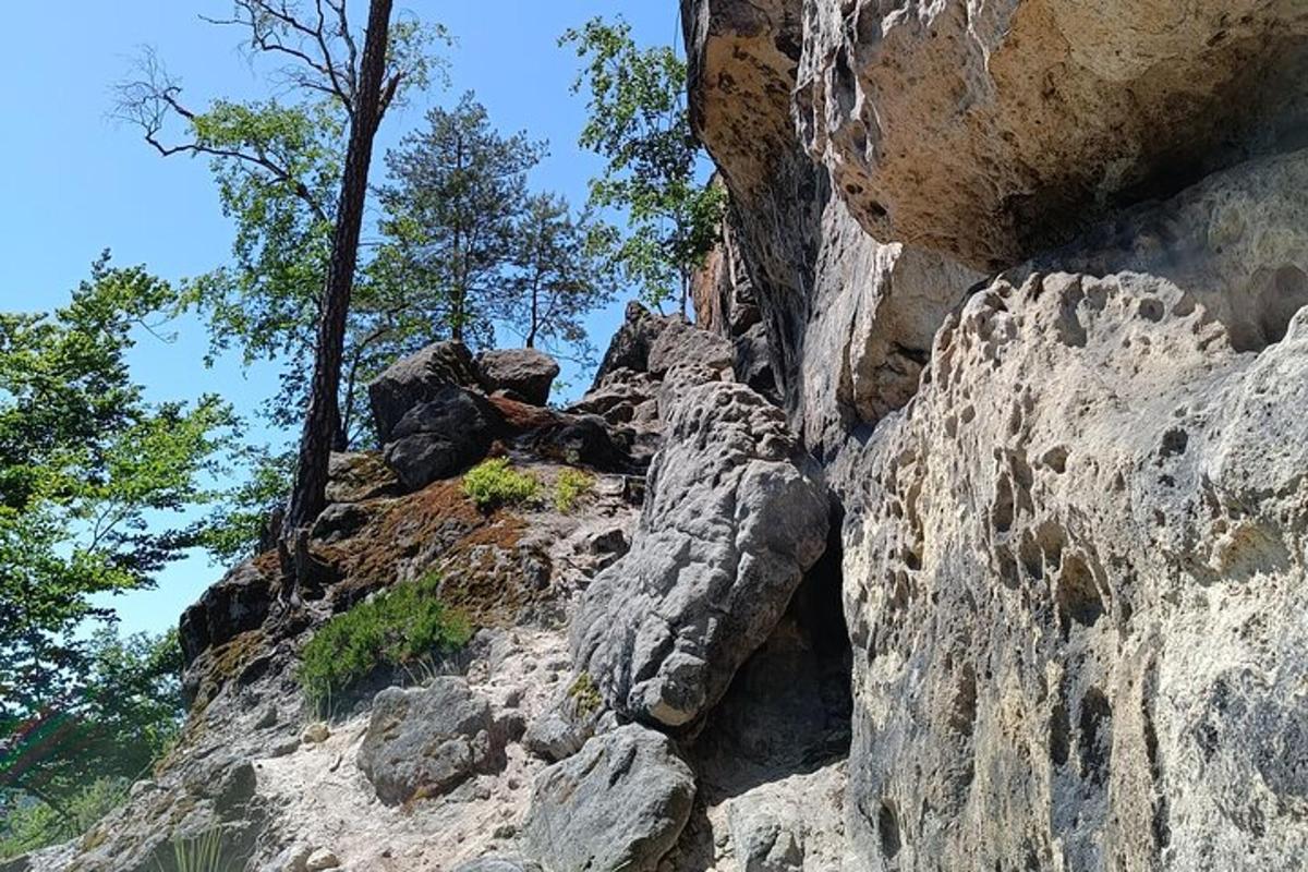 a rocky mountain with trees on top of it