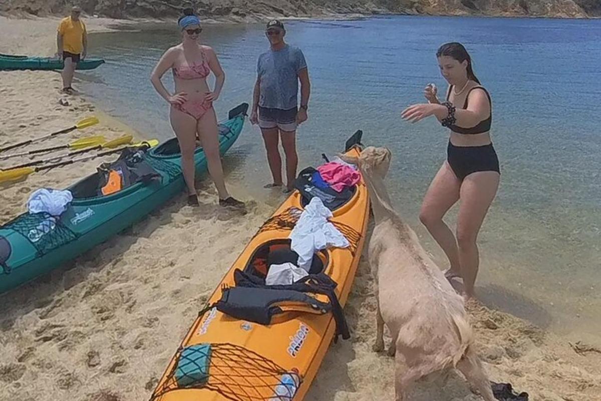sekelompok orang berdiri di pantai di samping kayak