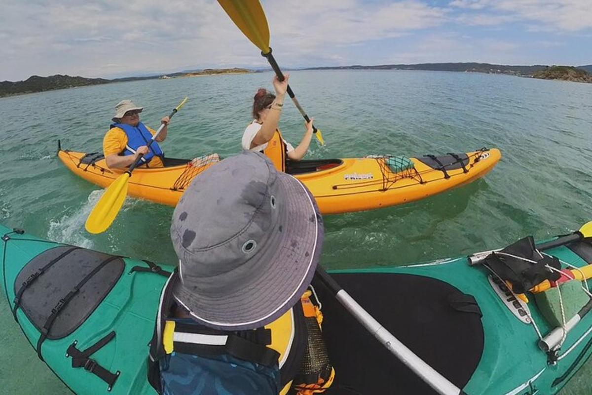 un gruppo di persone in kayak sull'acqua