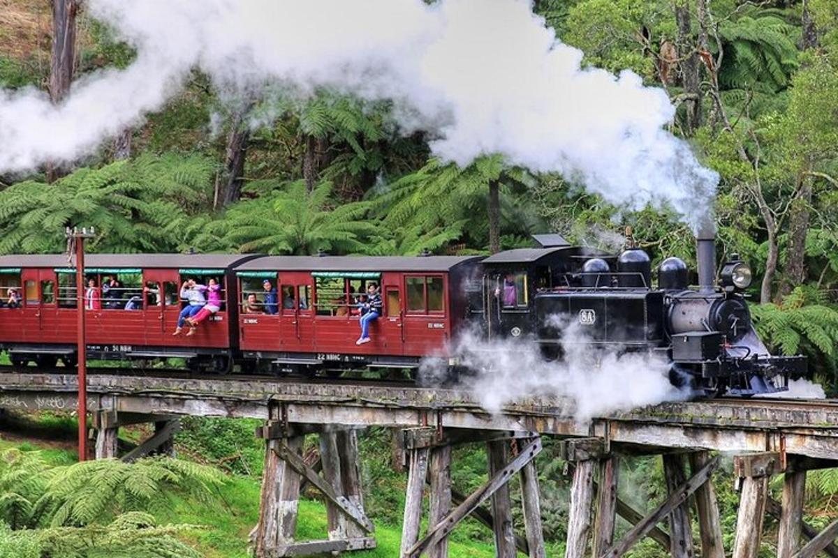 a steam train on a bridge with people on it