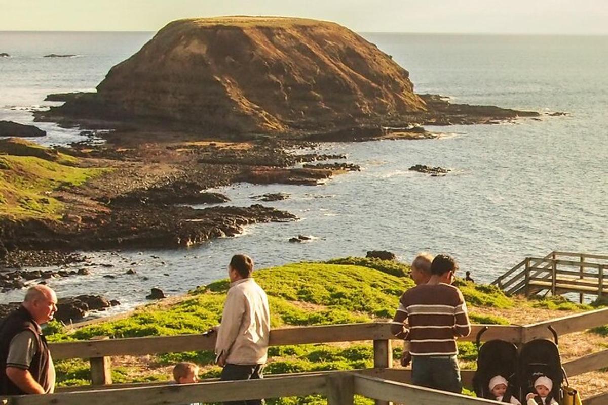 a group of people standing on a fence looking at the ocean