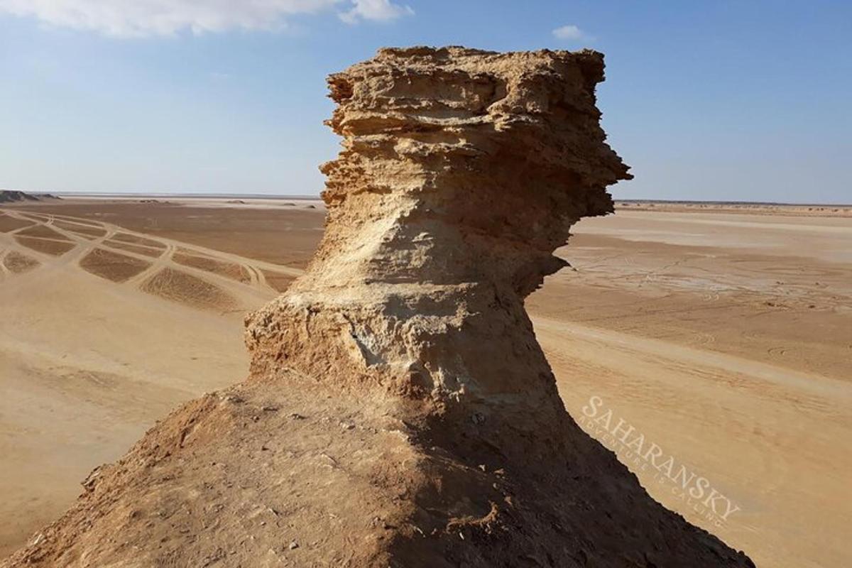 a termite mound in the middle of a desert