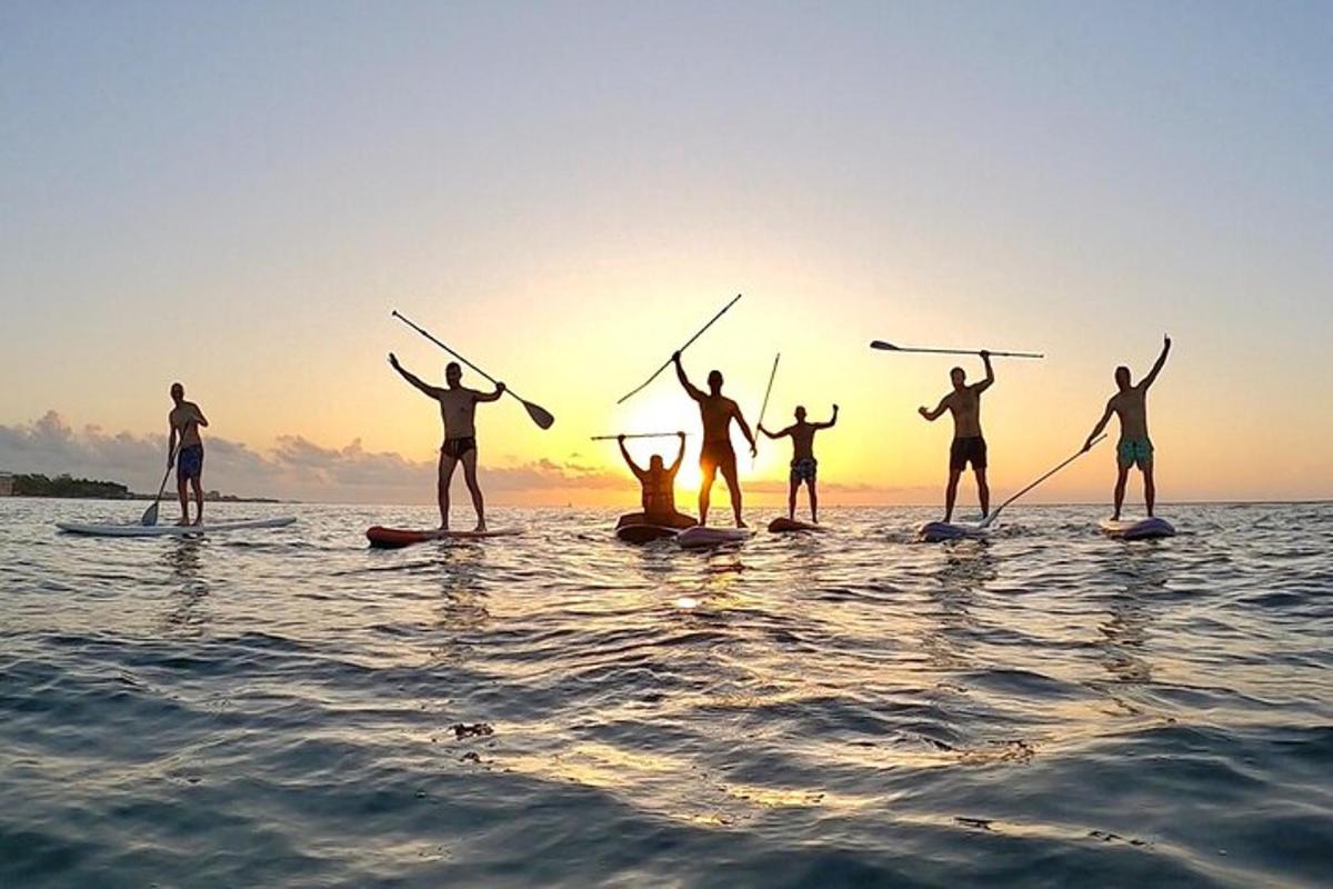 Un grupo de personas en tablas de paddle surf en el agua
