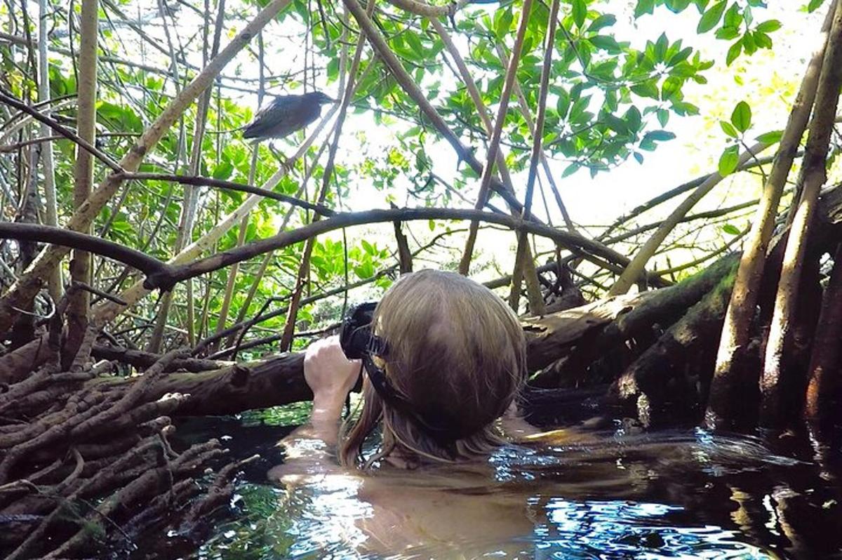 Una mujer tomando una fotografía de un pájaro en el agua.