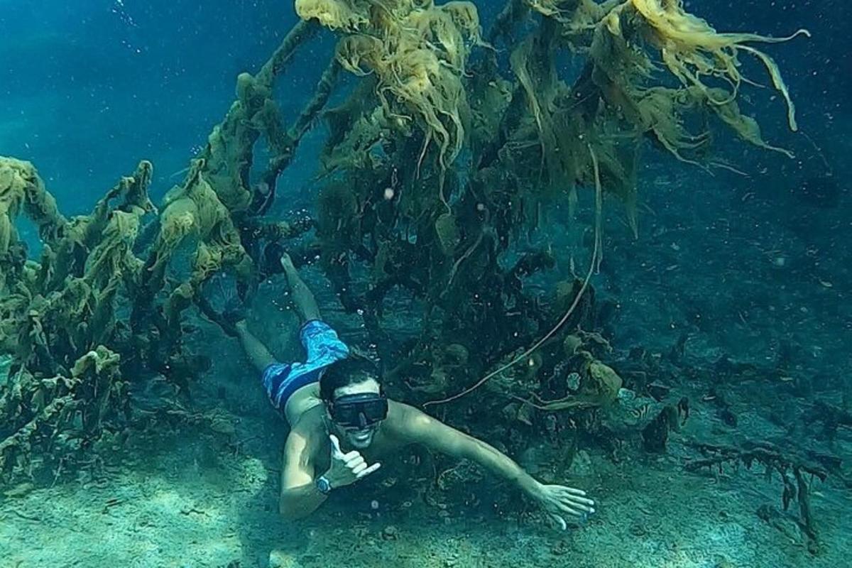una persona nadando en el océano junto a un arrecife