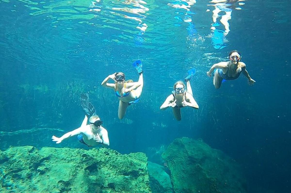 un grupo de personas nadando en el agua
