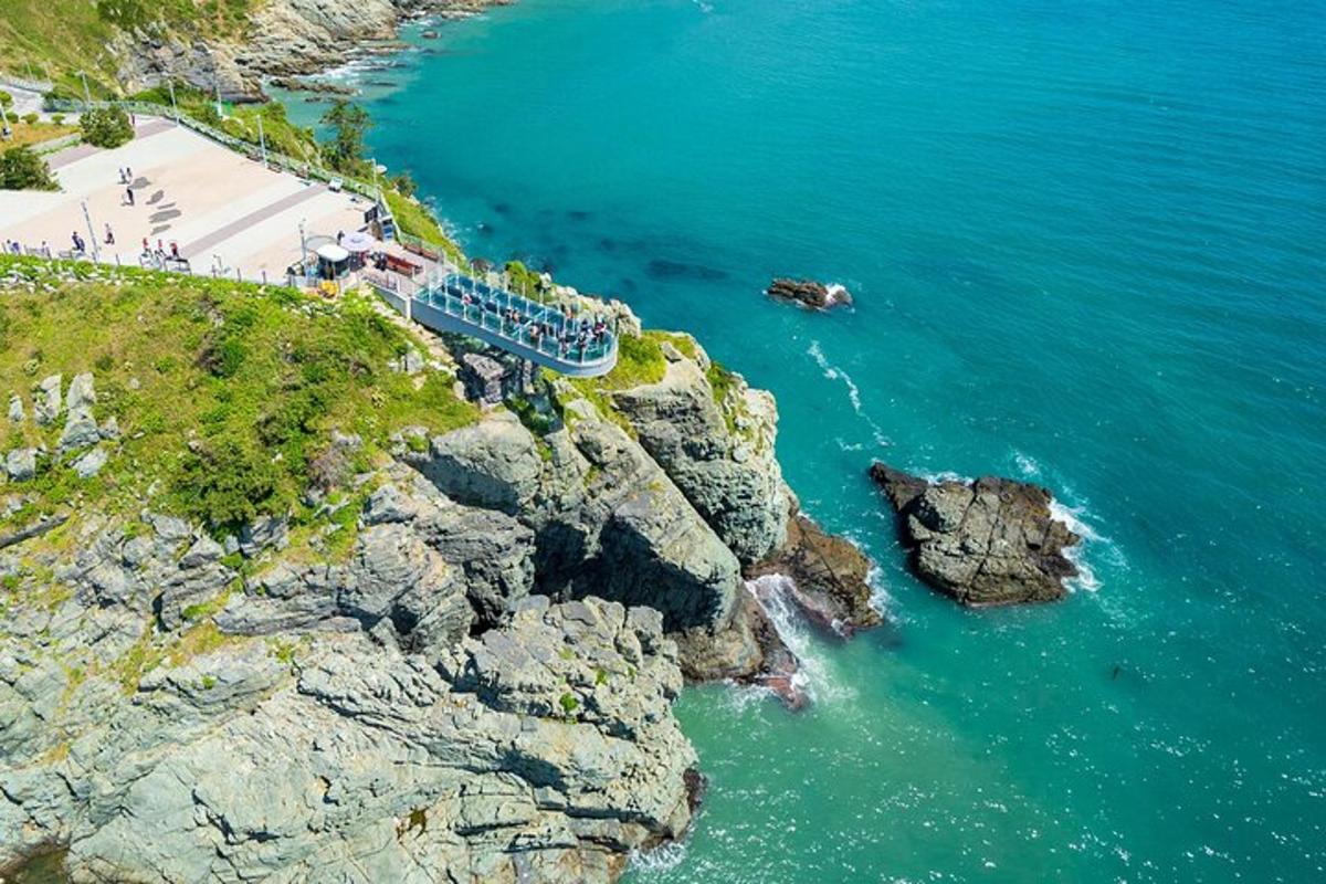 an aerial view of a beach and the ocean