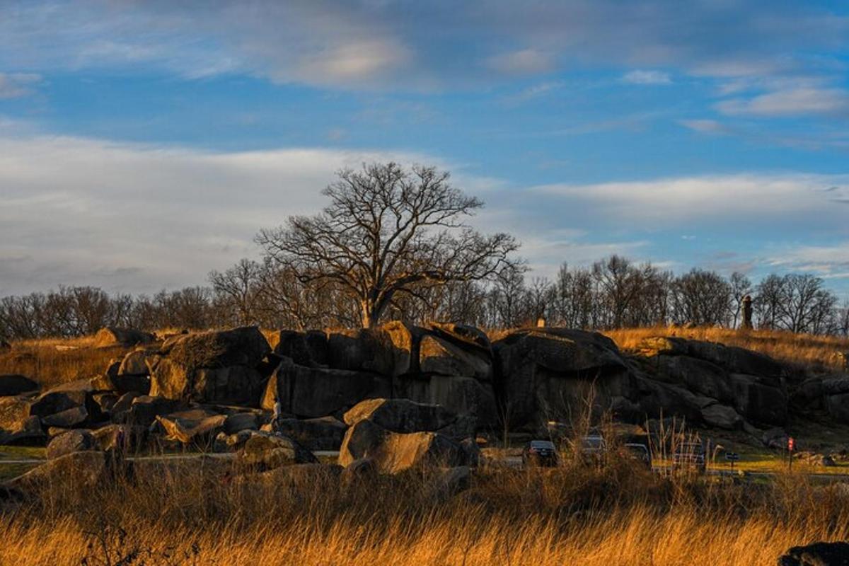 a group of rocks in a field with a tree