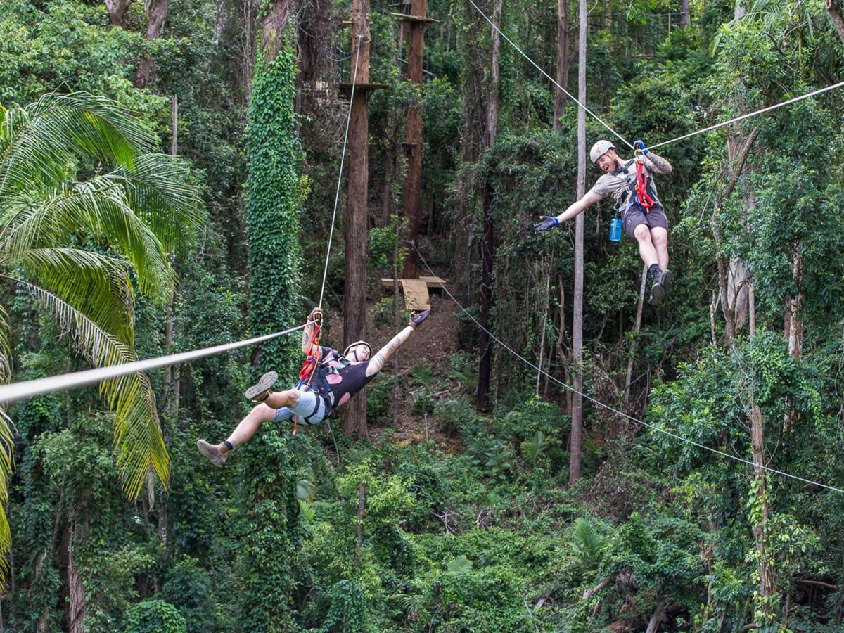 a group of people on a zip line in the jungle