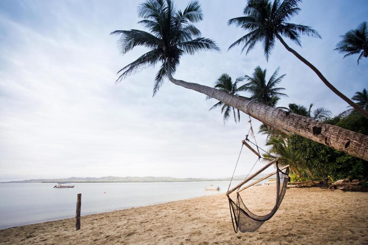 a hammock hanging from a palm tree on a beach