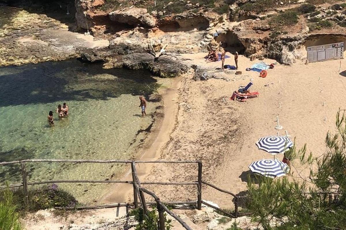 a beach with a group of people in the water