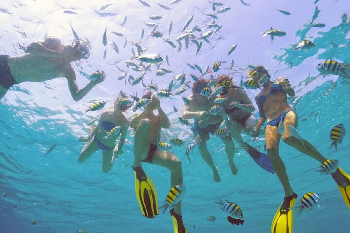 a group of people swimming in the water with fish
