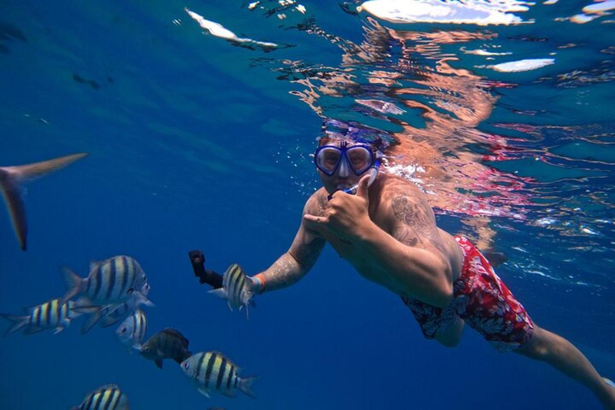 a person swimming in the water with fish