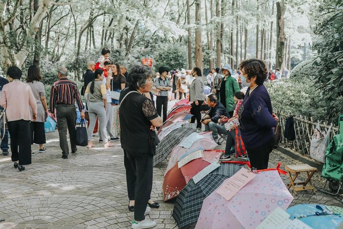 一群人撑着伞在公园里散步