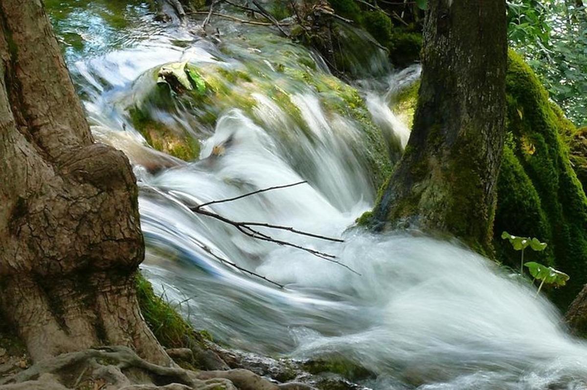 a stream of water rushing down a river with trees