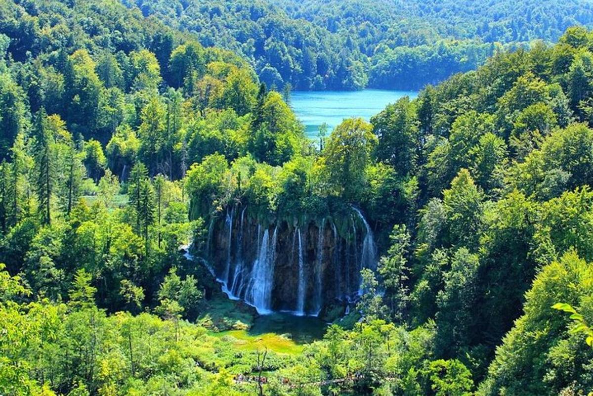 a waterfall in the middle of a forest