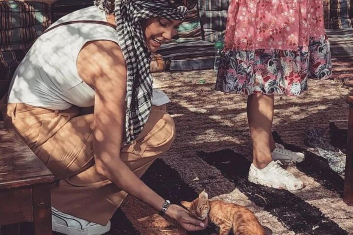 una donna sta accarezzando un gatto accanto a una persona