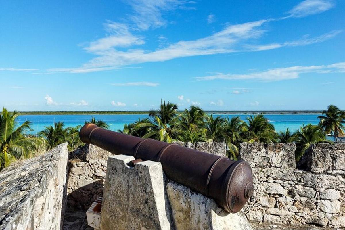 a cannon on a stone wall with a view of the ocean