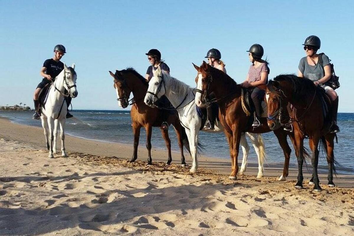 grupp inimesi rannas hobustega ratsutamas