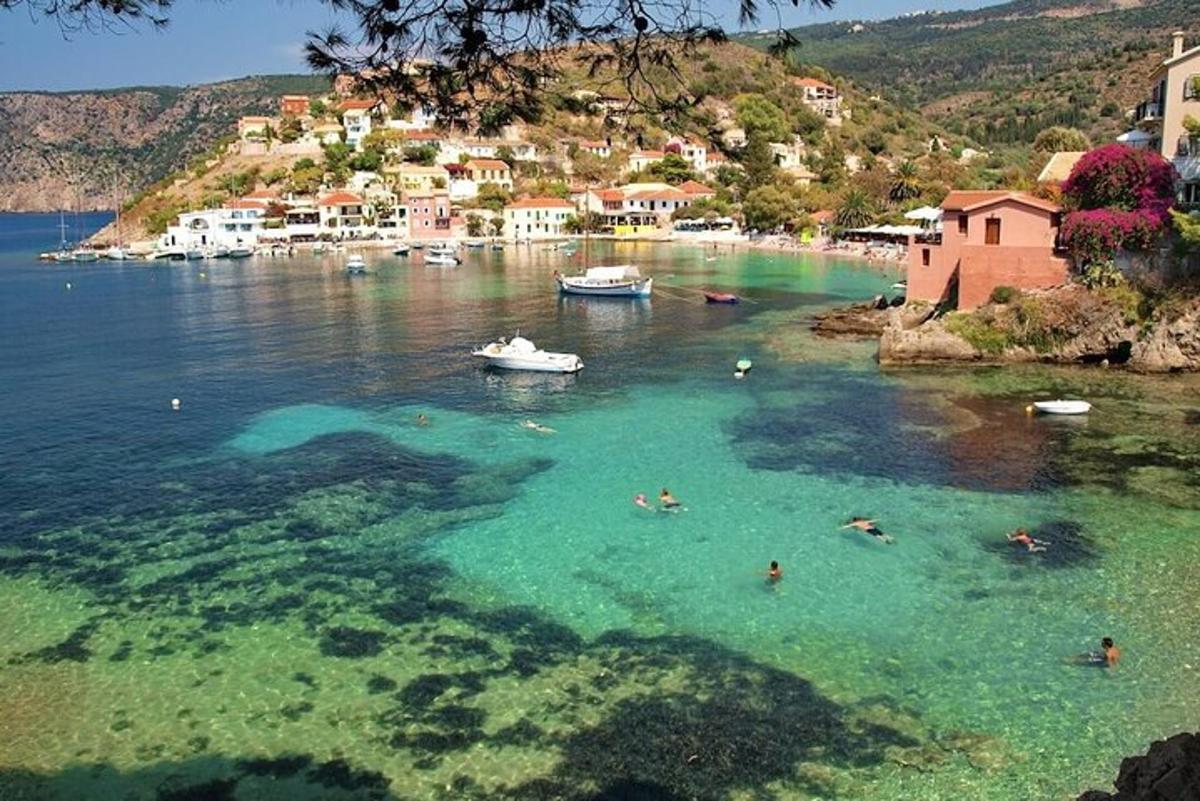 a group of people swimming in a body of water