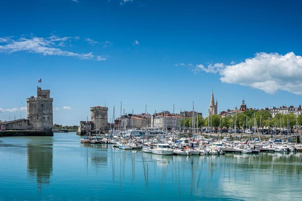 un gruppo di barche è attraccato in un porto