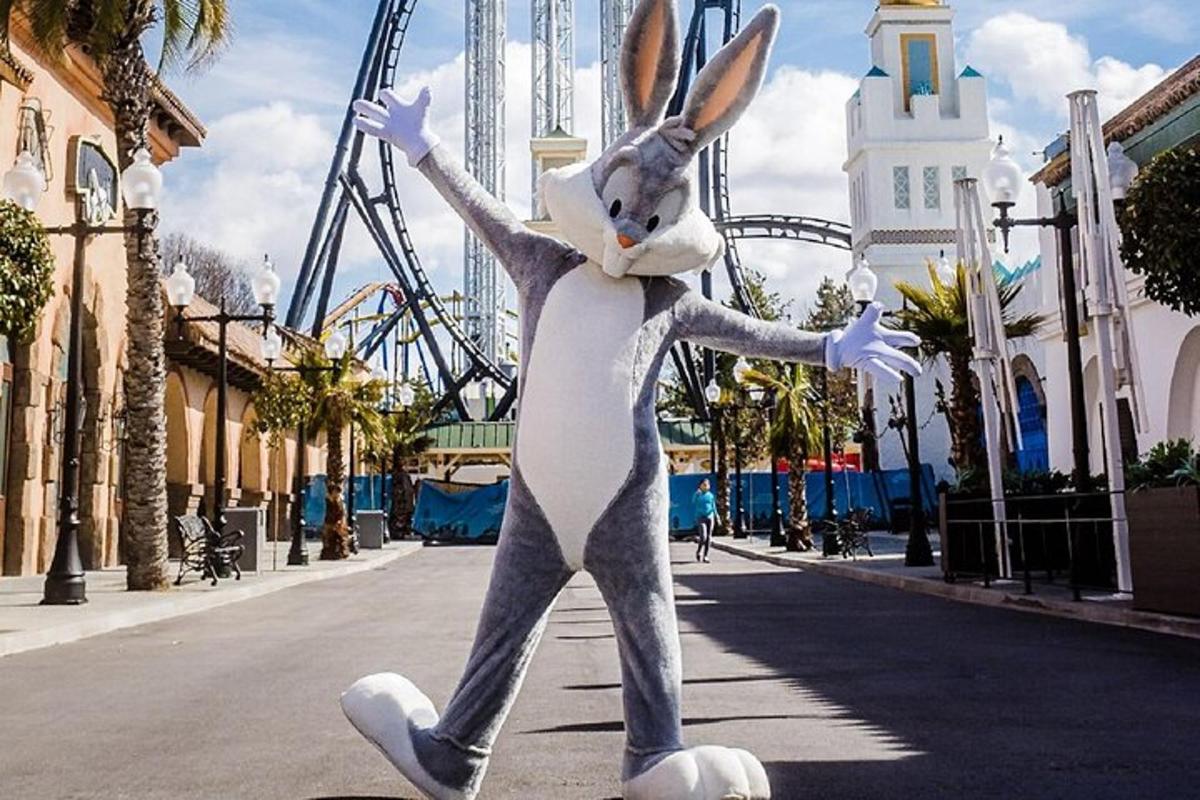 Photo de l’attraction numéro 7.