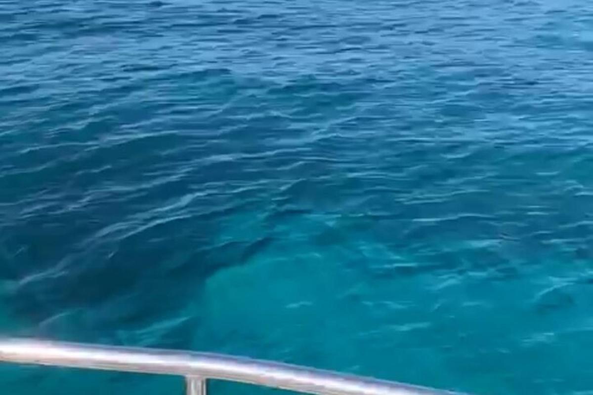 pemandangan air dari perahu di lautan