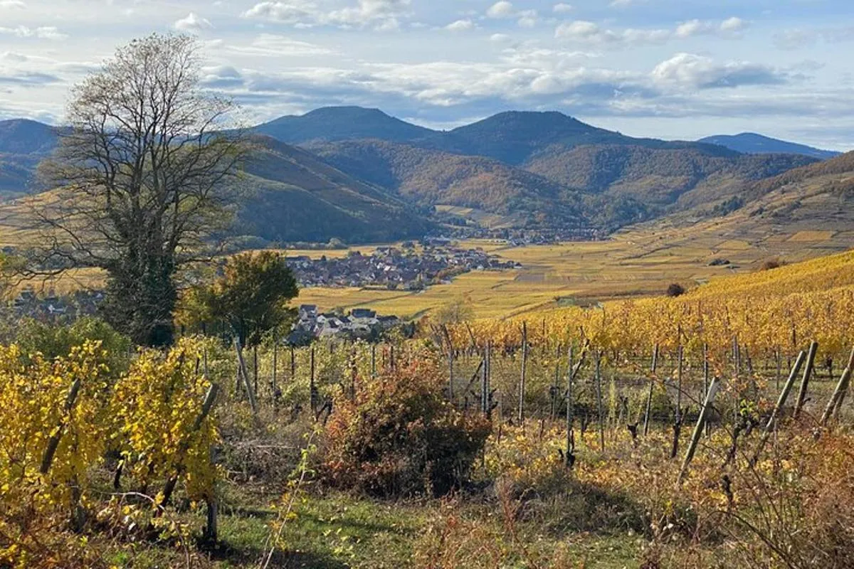 Alsace Médiévale et Dégustation de Vin depuis Colmar – photo 7