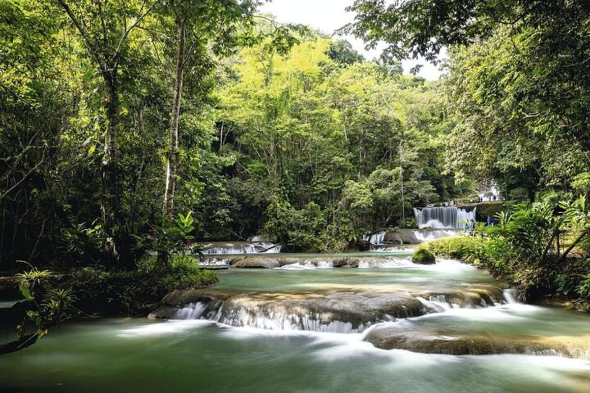 um rio no meio de uma floresta com cachoeiras