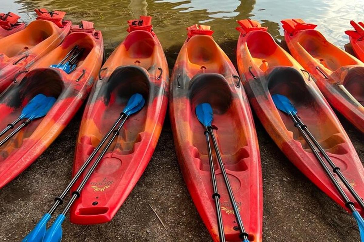 quatre caiacs estan alineats al costat de l'aigua