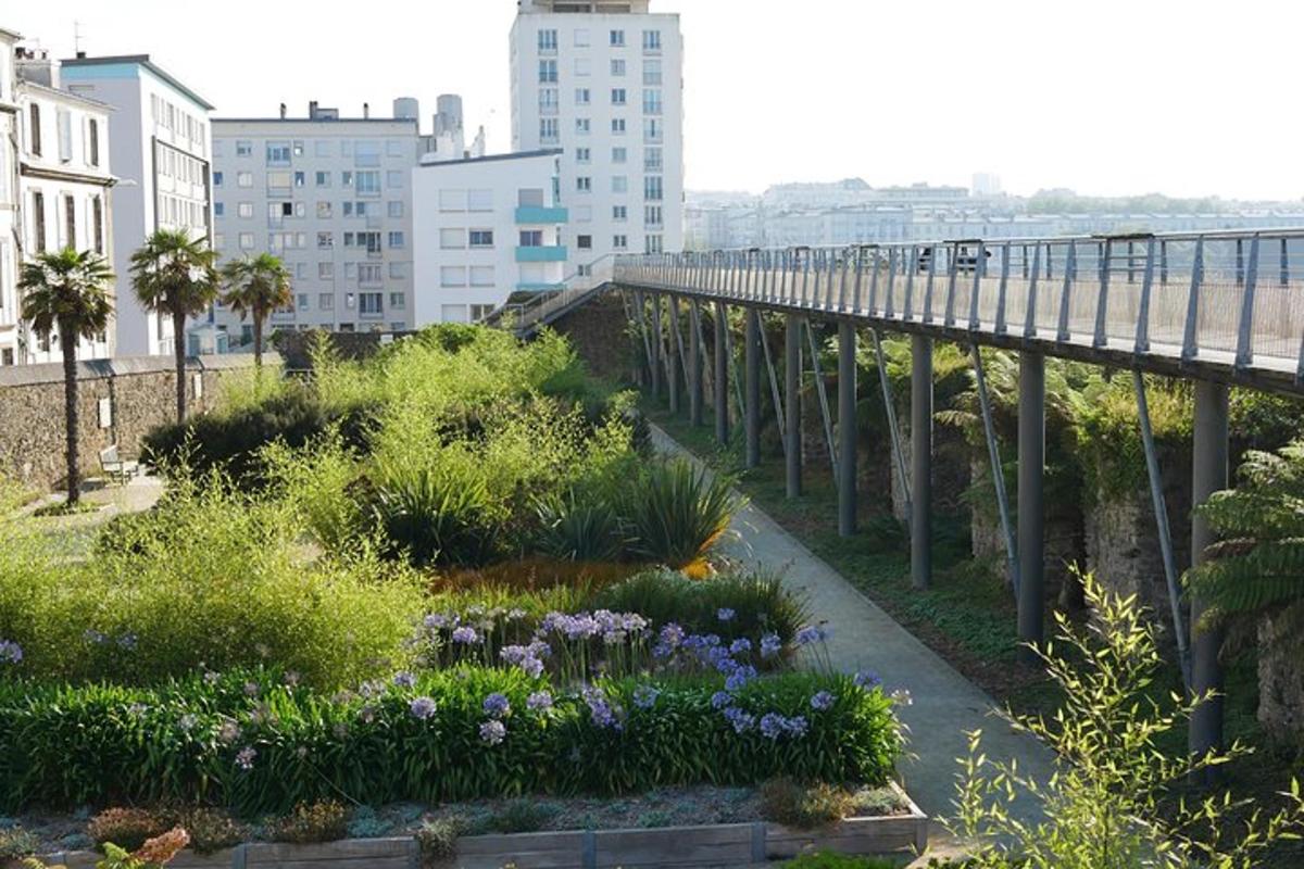 a garden with purple flowers and a bridge