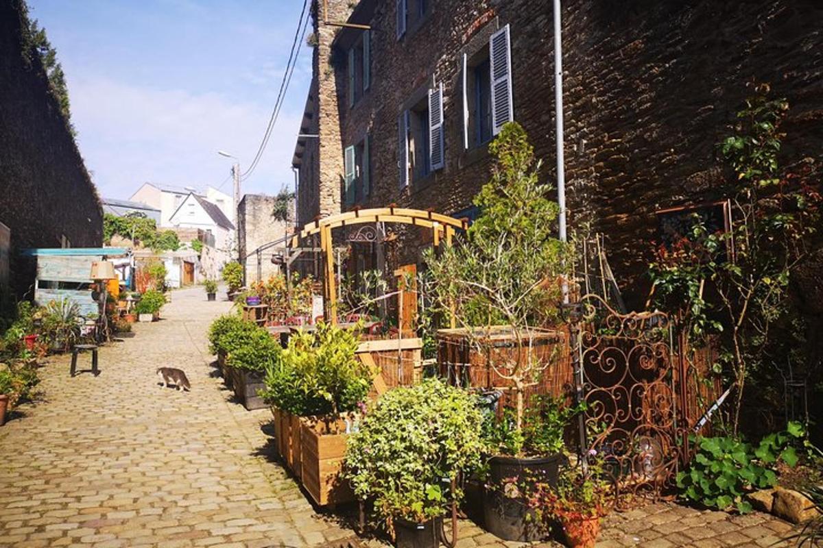 a cat walking down a brick street next to a building