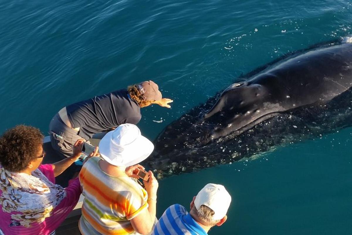 a group of people looking at a whale in the water